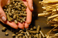 free Bessels Green biomass boiler quotes